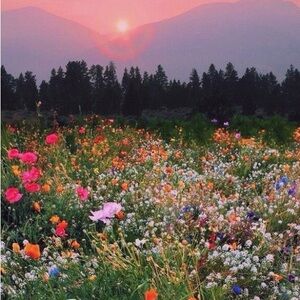 @new_bohemian Gap Dress